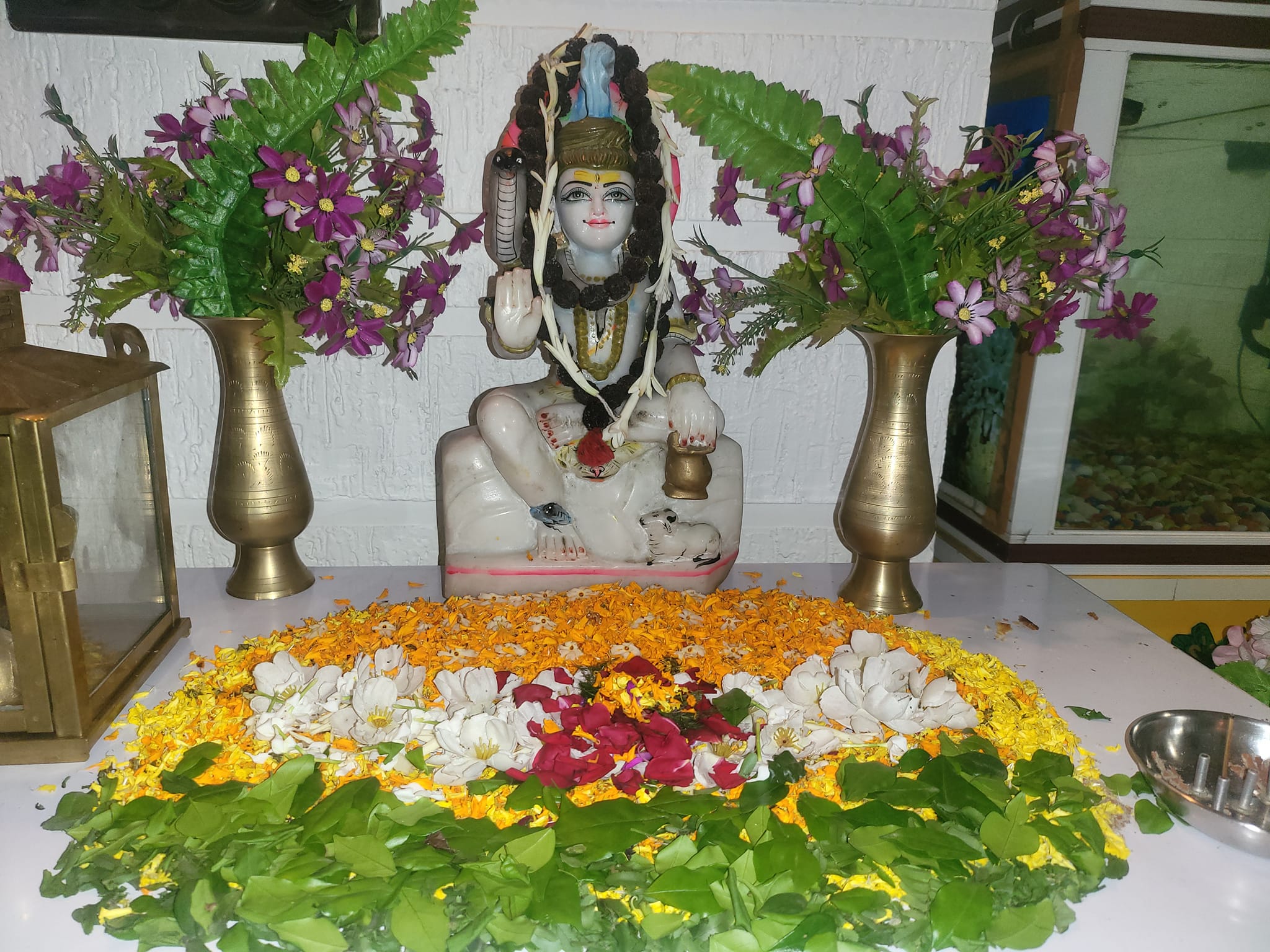 shiv